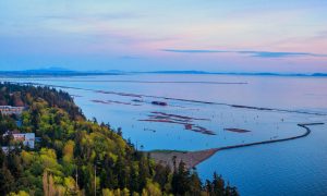 UBC to host Northwest Linguistics Conference in May